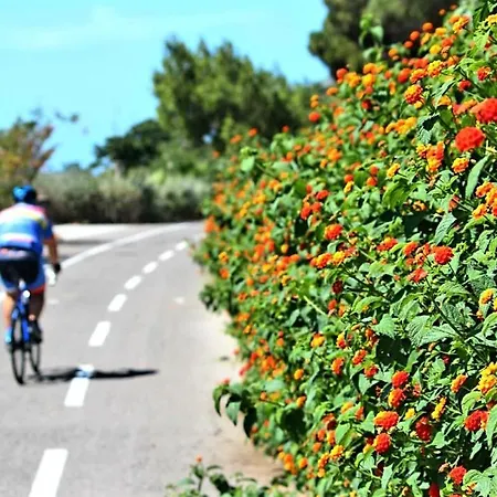 Trilocale Piazza Colombo *