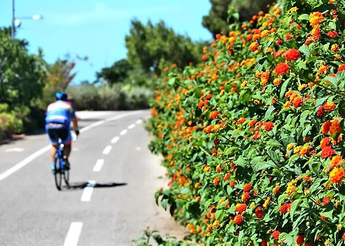 Trilocale Piazza Colombo *